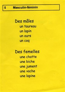 Avec le masculin et le f&eacute;minin