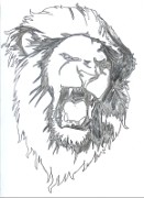 hippolyte_dessin_2015-11-26