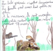 hippolyte_ecrit_2014-02-10