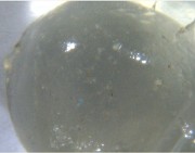 hippolyte_sciences_2014-10-15