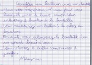 malou_ecrit_2013-06-21