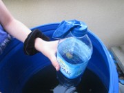 malou_sciences_2013-06-21_1