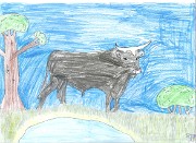 tao.dessin_2015-11-19