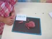 selva_pate_a_modeler_2013-09-05