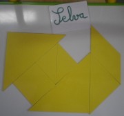 selva_geometrie_2013-11-15