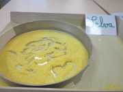 selva_graphisme_2013-09-30_2