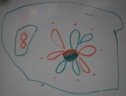 selva_logique_2013-12-12