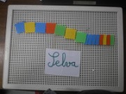 selva_technologie_2013-12-05