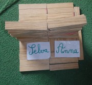 selva_technologie_2014-03-25