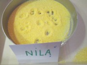 nila_graphisme_2013-09-27