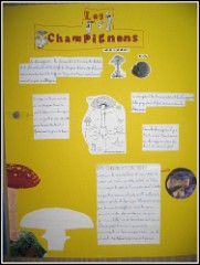 champignons